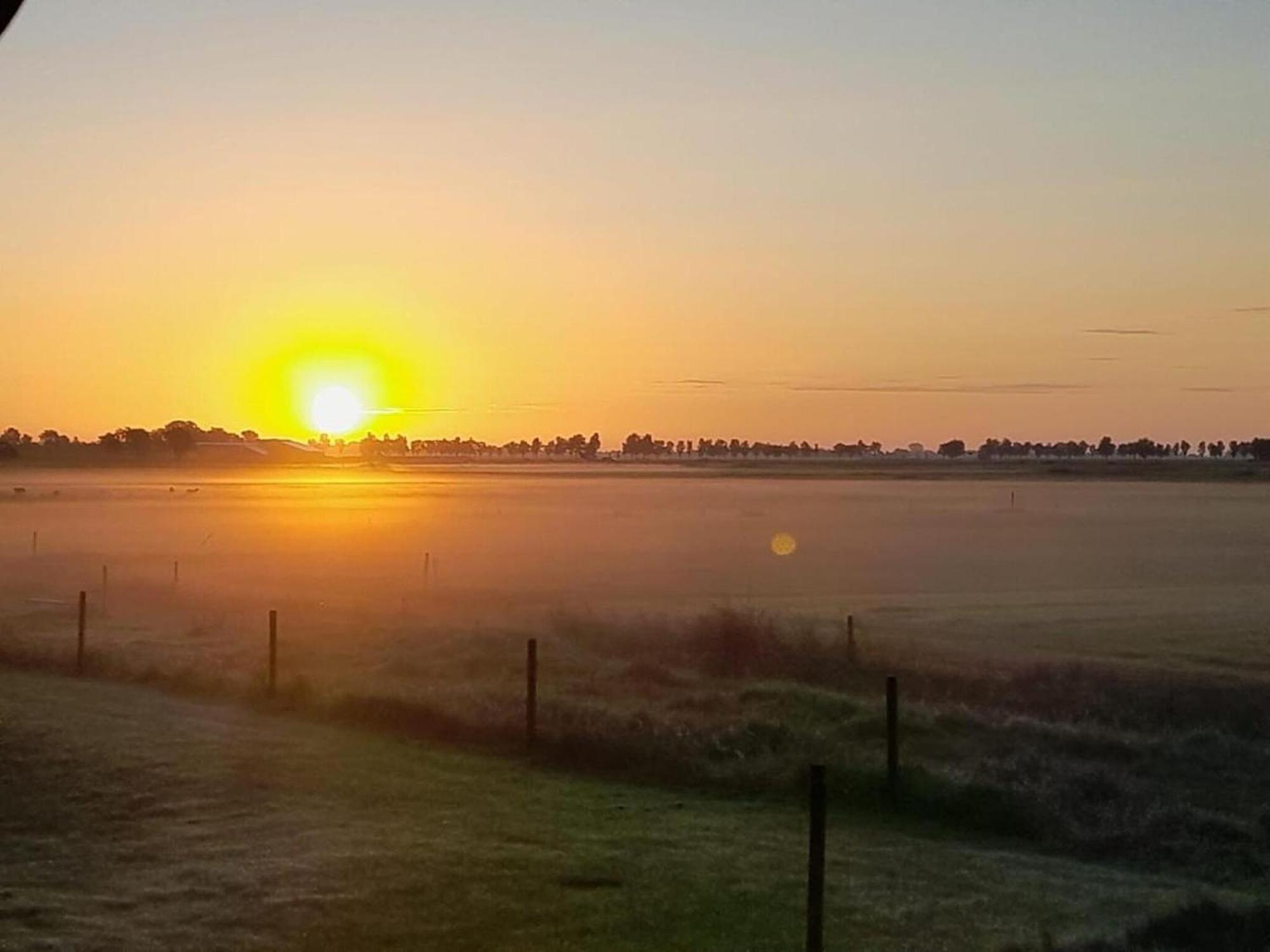 Villa Tureluur Tjerkgaast Esterno foto